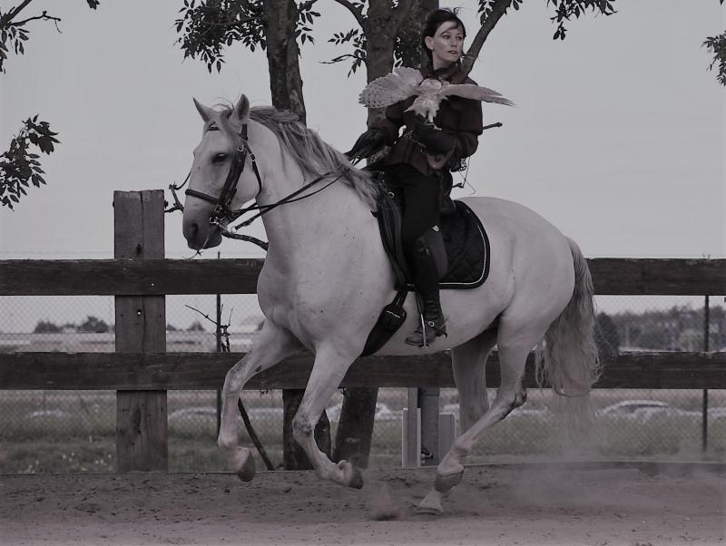 «Les chevaux m’ont aidé à mieux gérer mes sentiments. Quand je suis avec eux, je franchis certaines barrières. Ils me donnent de l’énergie et du courage.»