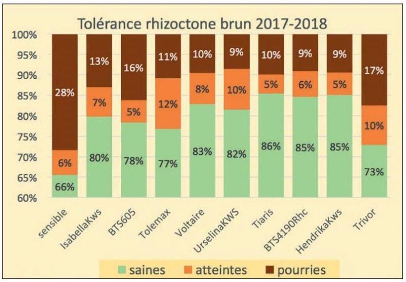 Résistance des variétés résistantes au rhizoctone brun (2017-2018). Outre le rendement, le choix doit se porter sur la résistance à la pourriture en fonction de la parcelle.