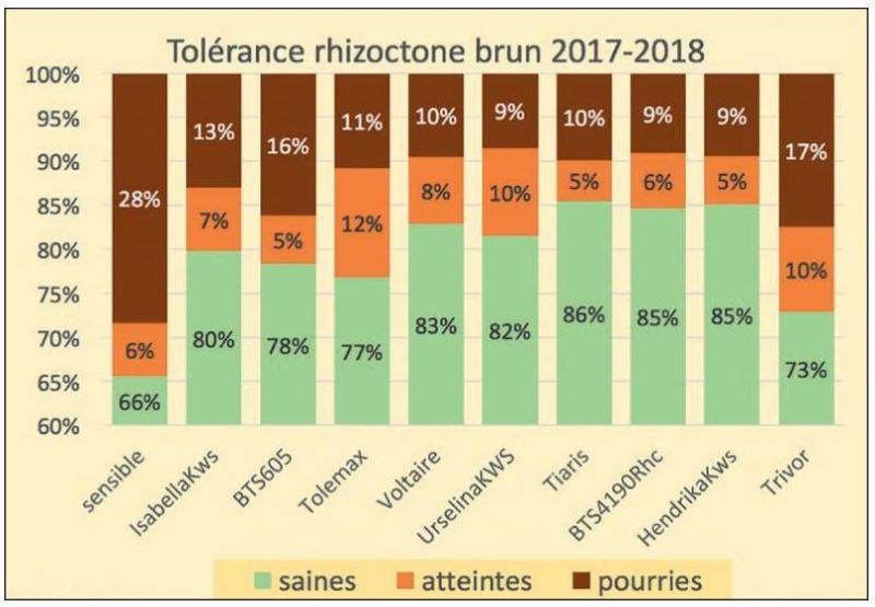 Résistance des variétés résistantes au rhizoctone brun (2017-2018). Outre le rendement, le choix doit se porter sur la résistance à la pourriture en fonction de la parcelle.