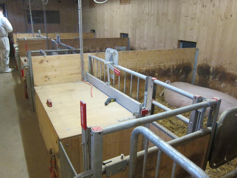 Niche à porcelets et zone d'allaitement non couverte (loge WelCon).