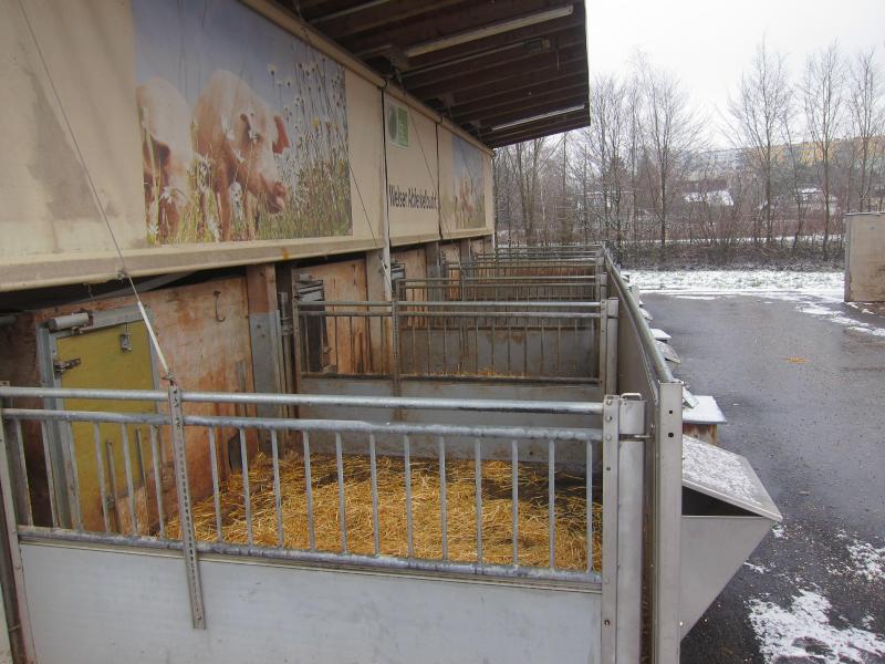 Aire extérieure, avec à gauche le couloir pour accéder à l’auge (loge Welser). Chaque catégorie d’animaux dispose de sa propre sortie : porte pour la truie, « chatière » pour les porcelets.