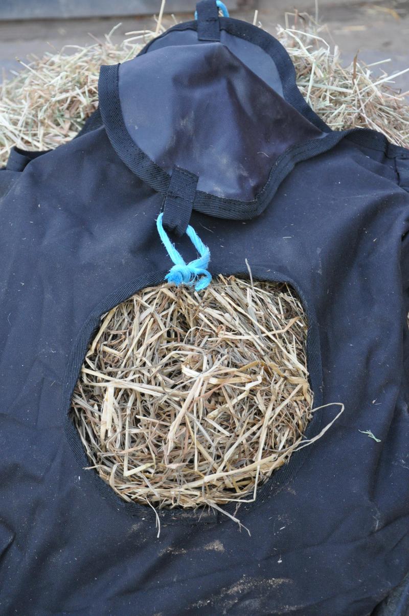 L’utilisation de sac à foins au box peut éviter à l’animal de s’ennuyer.