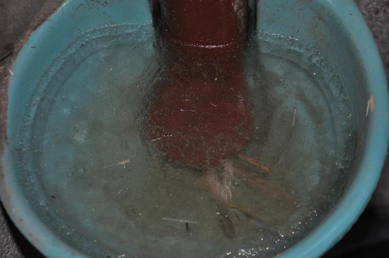 En hiver, par grand froid, préférez l’utilisation de bassines aux abreuvoirs automatiques.