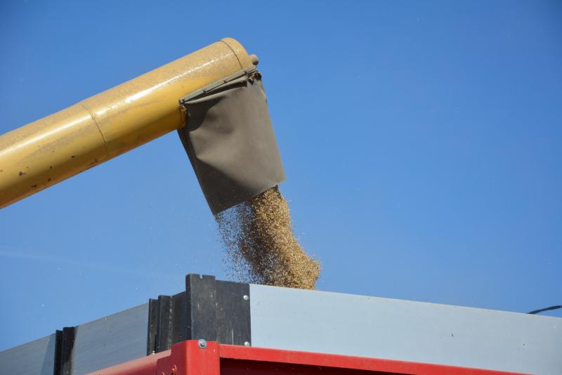 La Russie est devenue une puissance agricole de premier plan, s’adjugeant   la première place au classement mondial des exportateurs de blé.