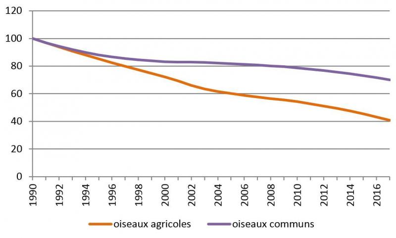 Graphique 1: évolution des populations d’oiseaux en Wallonie.