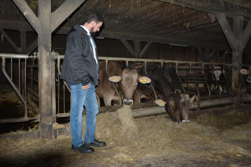 Quentin porte un regard sans regret sur ses laitières (Brunes des Alpes  et Simmental) venues remplacer son cheptel limousin.