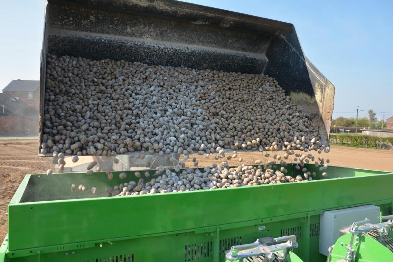 Une bonne préparation des plants permet de moduler les dates de plantation en fonction du climat et de l’état du sol.
