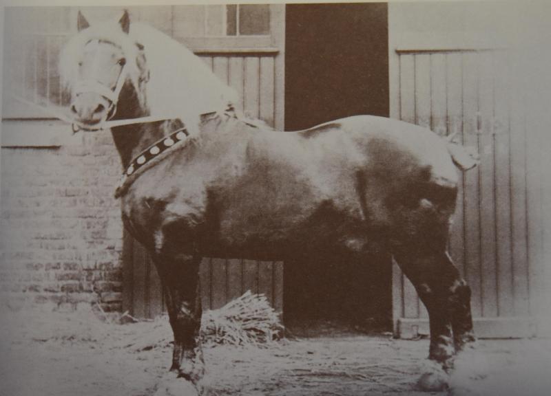 Brillant en 1878.
