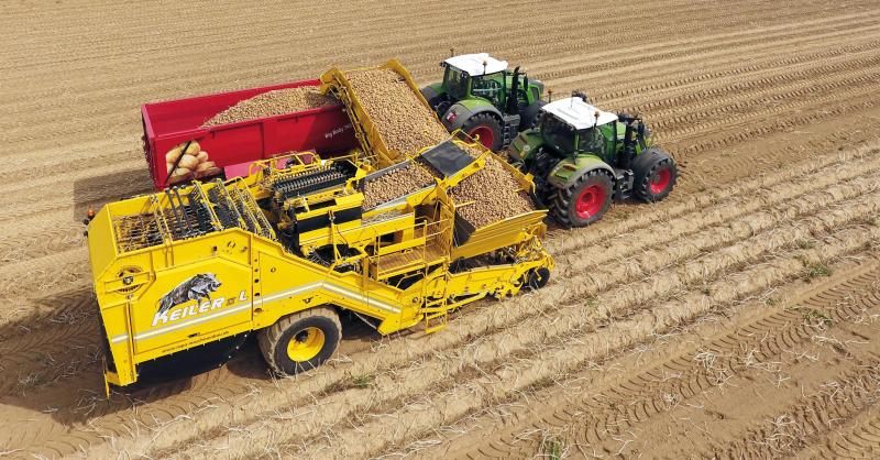 La Keiler 2 L permet un déchargement en continu des pommes de terre vers les bennes, mais aussi en palox.