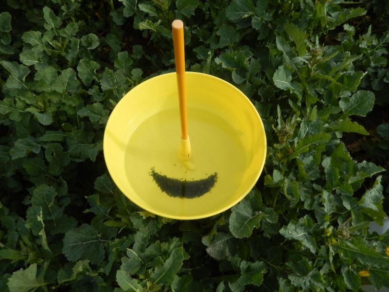 Un étonnant «smiley» découvert au champ!