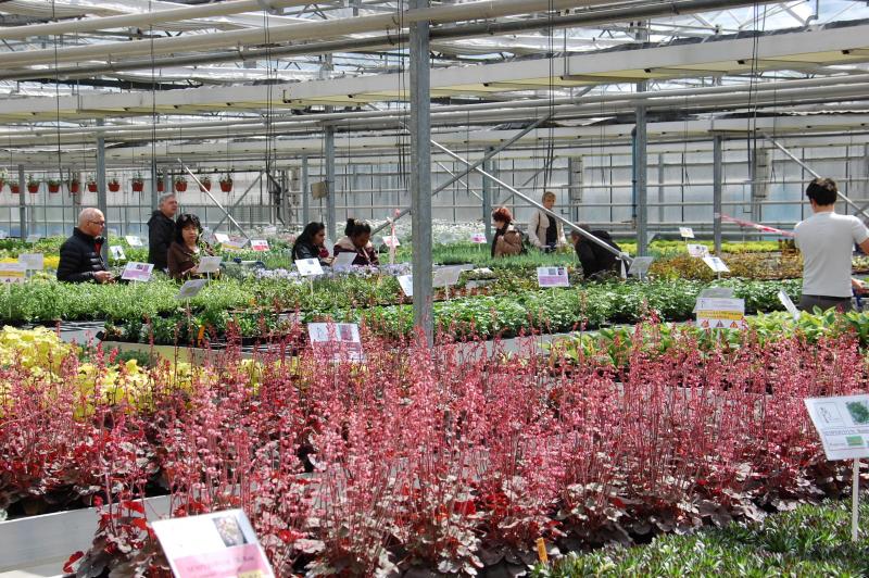 L’assortiment proposé par les horticulteurs wallons est d’une diversité largement méconnue!