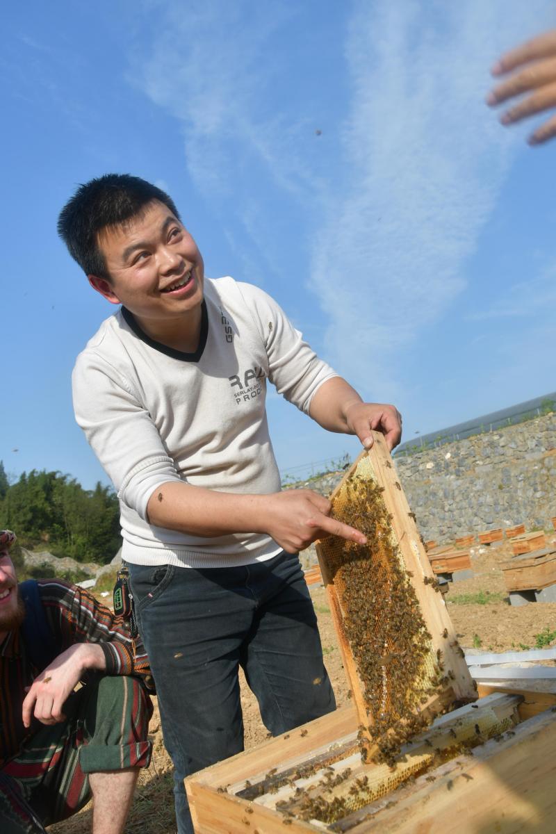La coopérative de fruits et légumes du village de Nongyuan compte des dizaines de ruches, que les étudiants purent approcher facilement pour une dégustation de miel fraîchement délogé des cadres.