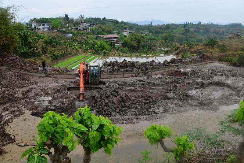 Creusement d’un étang pour la production de lotus dans le village de Jiaoyan, où les rizières traditionelles sont remplacées aux prodit de cultures de rente.