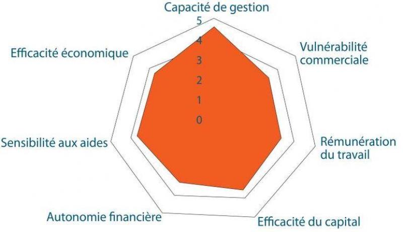 Exemple de graphique en toile d’araignée remis à l’agriculteur (ici
: pilier économique).