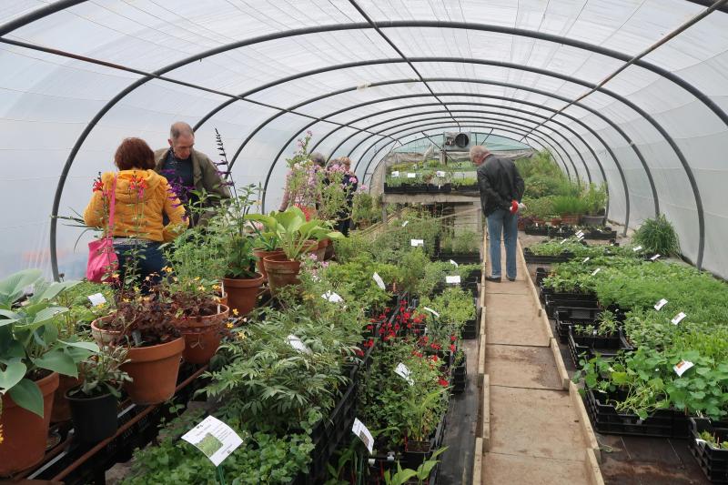 La fête des mères ou les journées Hortidécouvertes sont des week-ends phares pour les ventes de la pépinière.