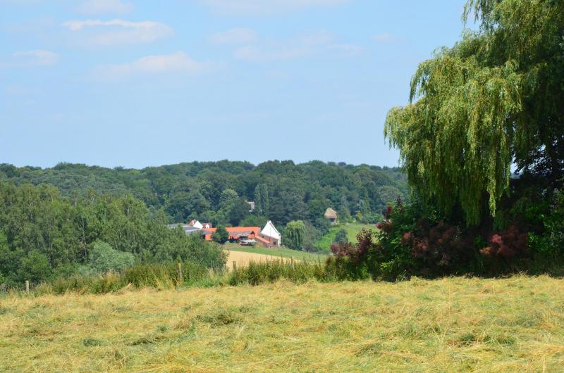 Les organisations professionnelles du sud du pays notamment dénoncent un accord en totale contradiction avec les principes du développement durable, les enjeux du changement climatique et les valeurs défendues par notre modèle agricole.