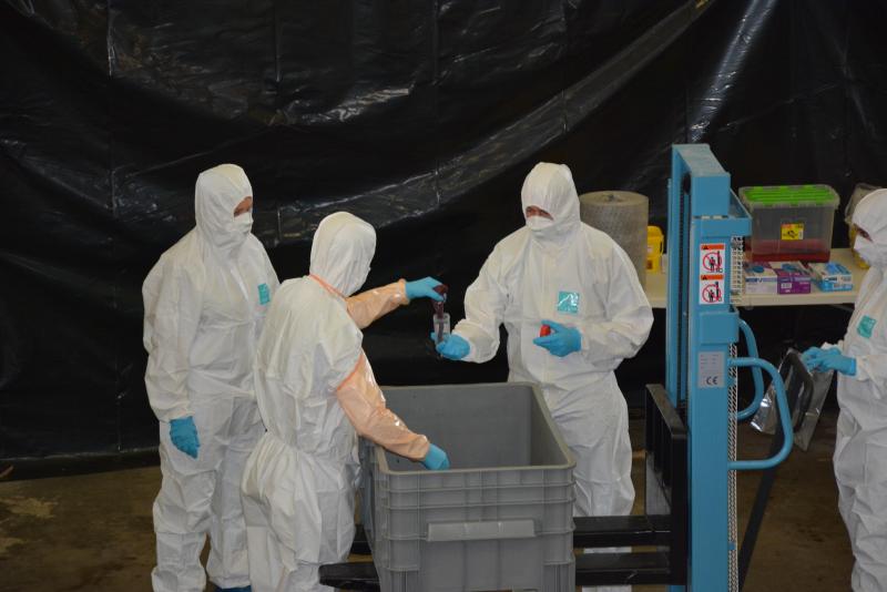 Au centre de collecte, des échantillons sont prélevés sur chaque carcasse  en vue de confirmer, ou non, leur contamination par le virus.