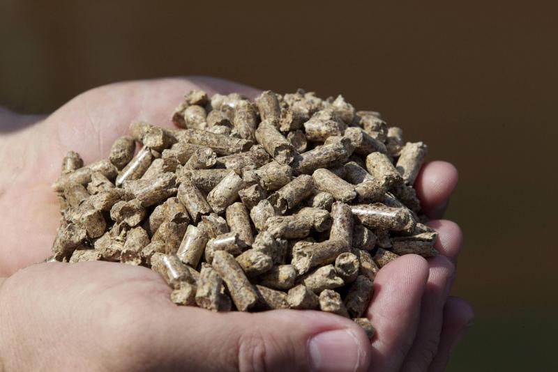 Les granulateurs, ou producteurs de pellets, deviennent  des acteurs de premier plan de la filière bois.