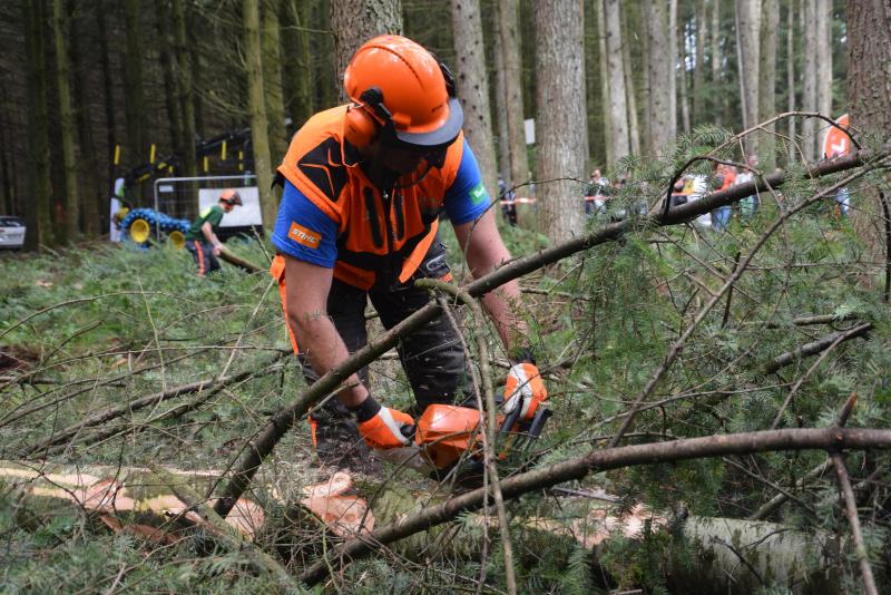 L’équipement léger est également en démonstration dans la forêt communale de Betrix, avec des consignes de sécurité très strictes tant pour les professionnels au travail que pour les visiteurs spectateurs.