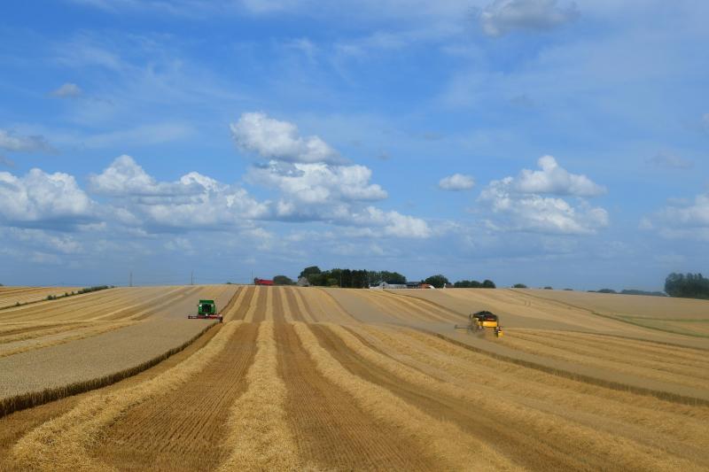 Le degré d’équipement dans notre pays est tel qu’en période propice au battage des céréales, les surfaces sont «avalées» à grande vitesse.