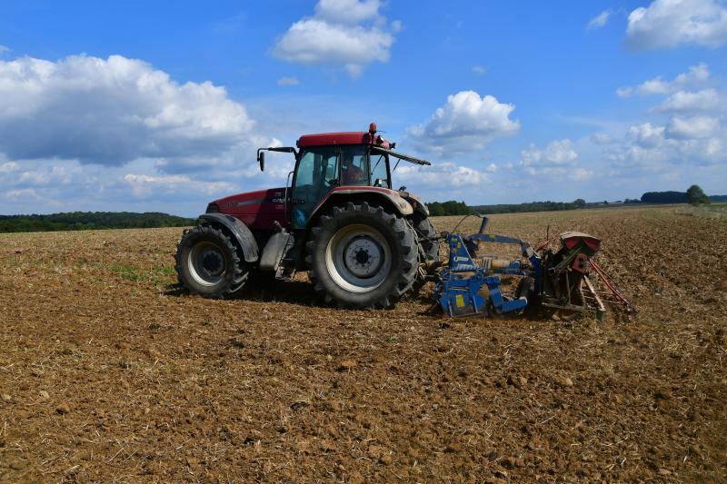 La bonne homogénéité des levées 2018 a été largement sous l’emprise de l’humidité présente ou absente dans les sols.