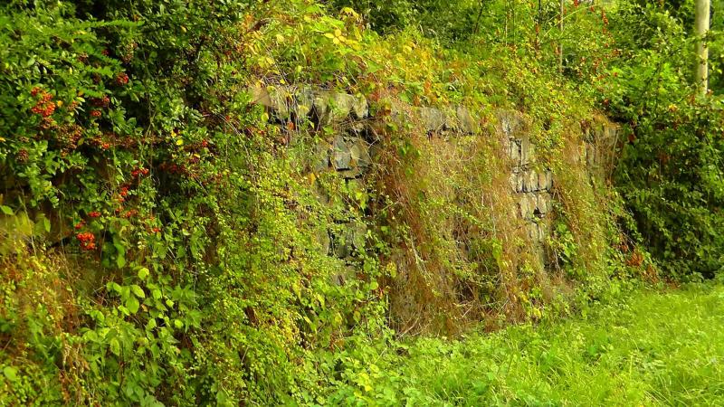 La mitoyenneté est une séparation (mur, haie, fossé) permettant de délimiter deux propriétés distinctes.