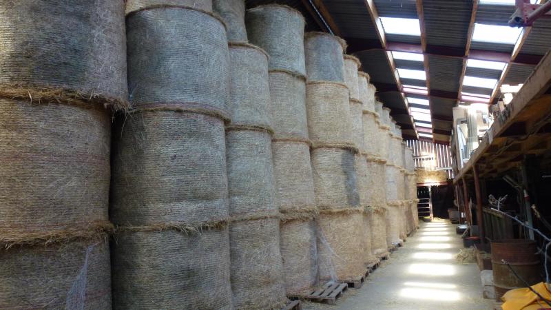 Le foin est stocké dans un hangar attenant à l’étable des vaches. Le foin est aisément distribué par les enfants ou les personnes handicapées en visite. Sa distribution ne nécessite pas d’outil comme ce serait le cas pour de l’ensilage.