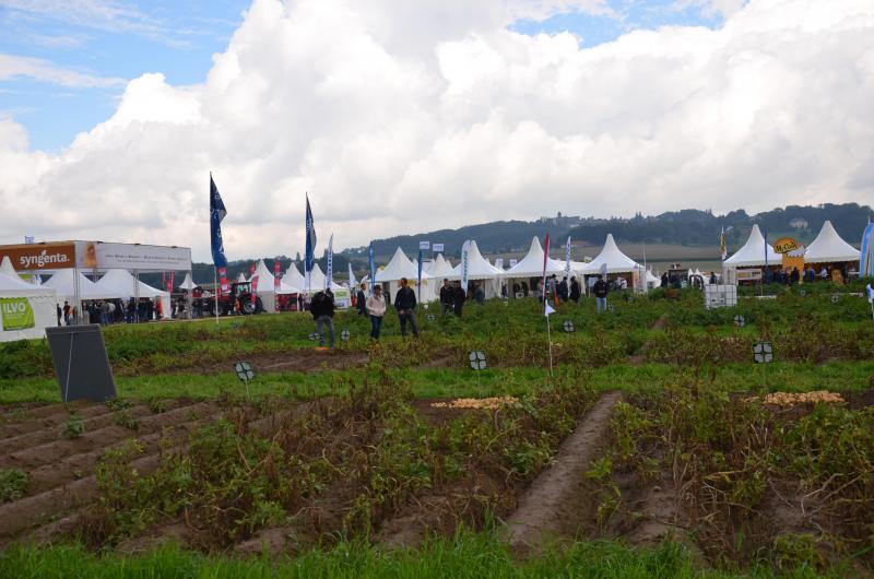 Cette année huit entreprises ont fait la demande d’un champ d’essai. Ceux-ci occupent une situation centrale afin que le visiteur les localise facilement.