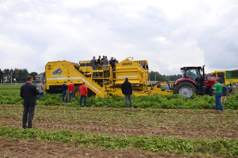 Pour garantir le succès de PotatoEurope, Fedagrim s’est associé au Carah, au PCA et à la Fiwap qui assurent le suivi des cultures et le fonctionnement des champs de démonstration, et à l’Ilvo et au Cra-w, qui prêtent main forte à la réalisation pratique des démonstrations de machines.