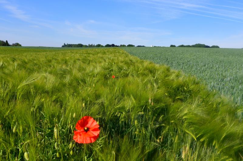 Comment encore nier le dérèglement climatique, au vu des épisodes observés depuis le début de ce 21
e
 siècle.