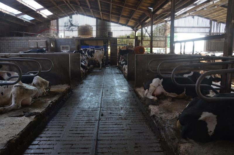 A Petit-Enghien, le lisier des vaches laitières est pompé vers le digesteur.