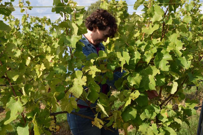 Un nouveau métier qui donne également l’opportunité à Anne d’échanger sur celui d’agricultrice et de démonter les clichés.