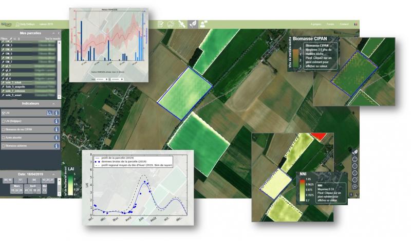 Belcam utilise les données satellitaires pour faire des observations  et des conseils à l'échelle de la parcelle.