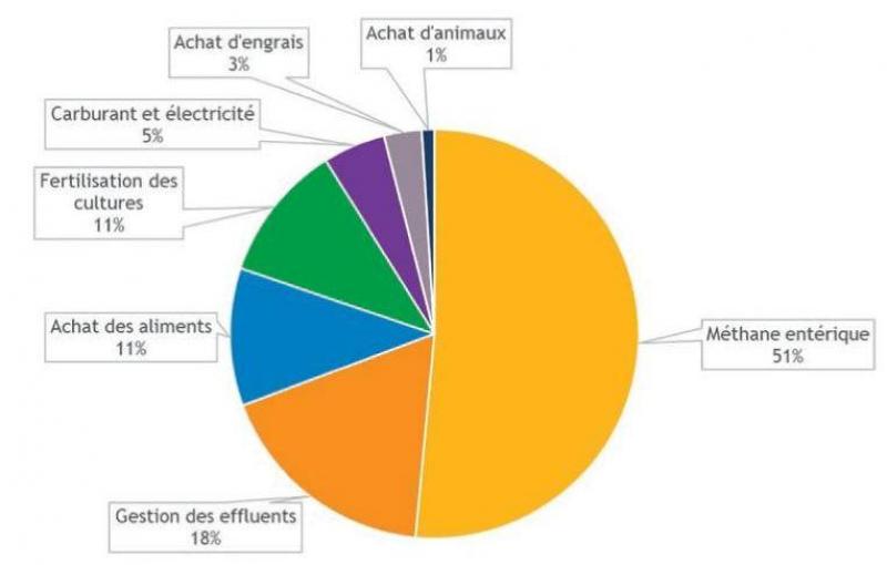 Graphique1: Les postes d’émissions des GES pour un élevage laitier.