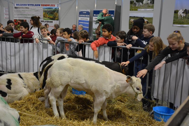 Pour de nombreux petits Bruxellois, un passage à Agribex constitue une opportunité unique de découvrir les animaux de la ferme.