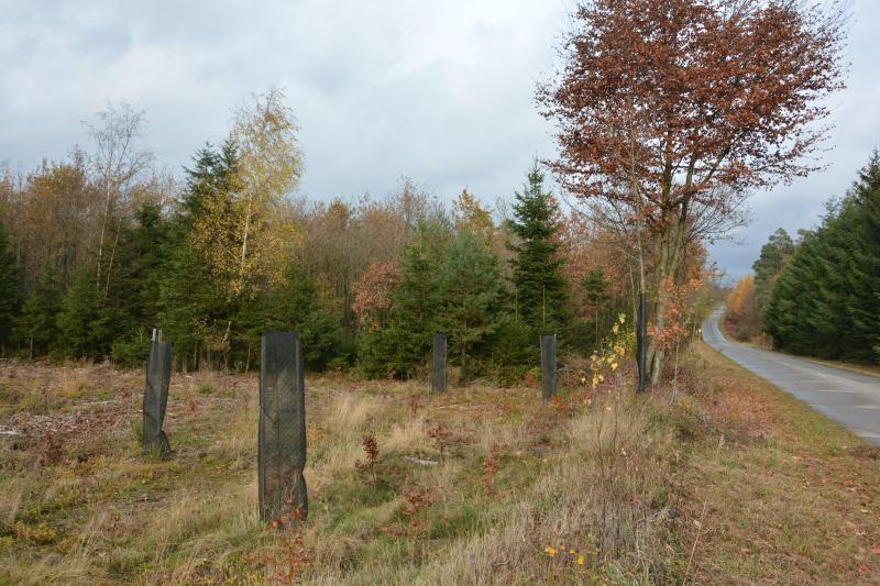Les plans stratégiques de la pac devront inciter les gestionnaires de forêts à préserver, à cultiver et à gérer les forêts de manière sûre.