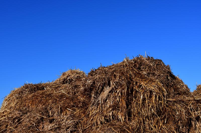 La fumure phosphorique doit prendre notamment en compte les apports via les engrais de ferme.