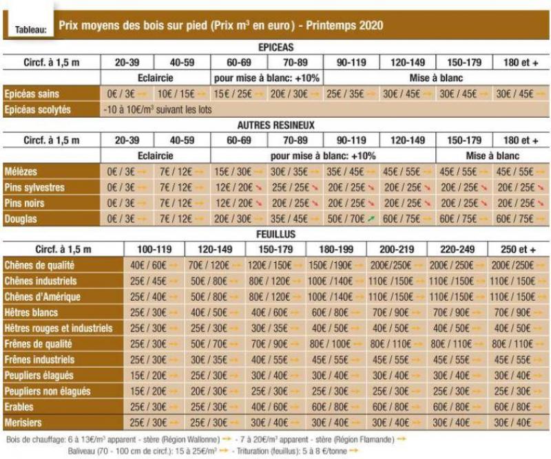 prix moyens des bois sur pied pour la periode printemps 2020 sillonbelge be