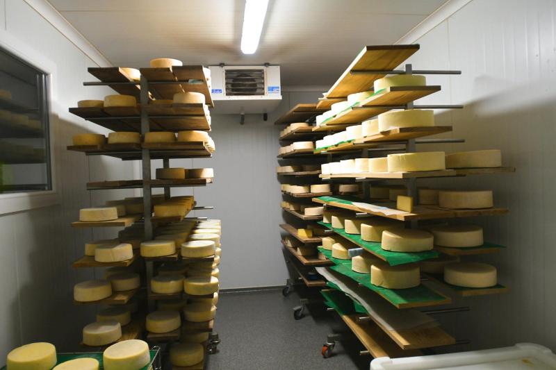 Outre la production de beurre, camembert, yaourts, glaces... La famille Velghe produit la tomme de l’épinette qui a déjà été plusieurs fois primées, notamment par un coq de cristal en 2018.