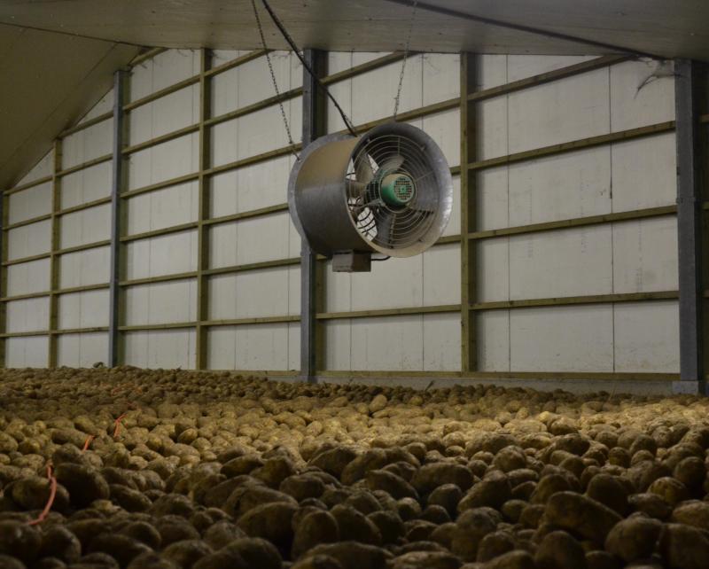 Le Copa estime que des secteurs comme la pomme de terre et les huiles végétales ont besoin de soutiens exceptionnels temporaires supplémentaires financés en dehors du budget de la pac.