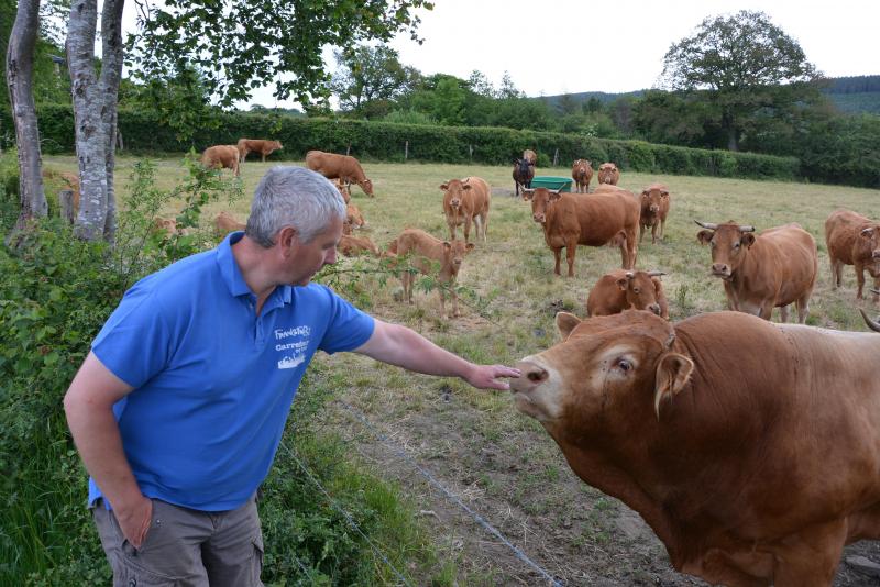 Deux taureaux sont présents sur la ferme ; l’un a été choisi pour sa taille, l’autre pour ses caractéristiques viandeuses.