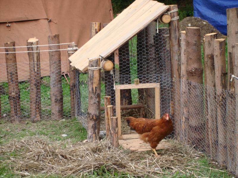 Certains groupes vous demanderont peut-être s’il peuvent accueillir quelques poules  pour gérer durablement leurs déchets alimentaires tout en profitant d’oeufs frais.