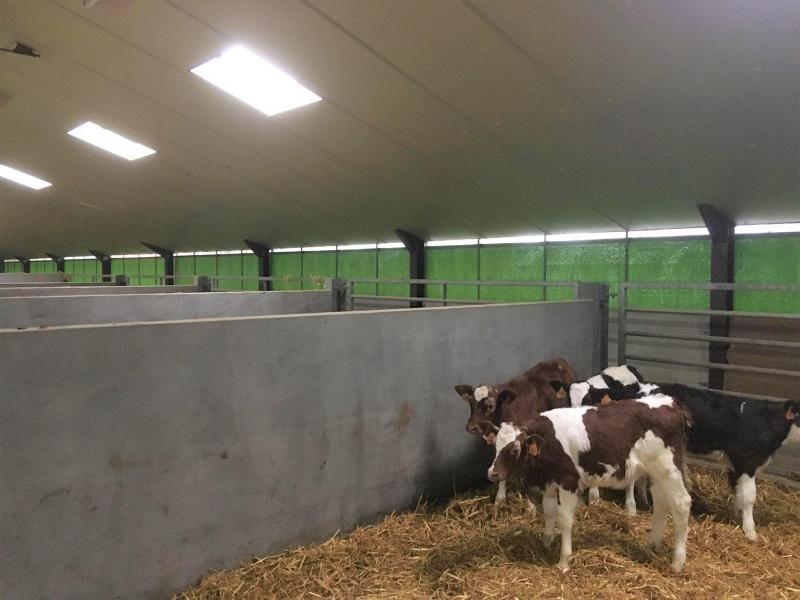 Cette grange est équipée de filets brise-vent sur toute sa longueur  pour une ventilation optimale.