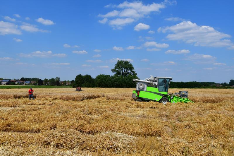 Le service Expérimentation agronomique du Carah met en comparaison chaque année des dizaines de variétés et produits de protection des plantes au service des agriculteurs hainuyers.