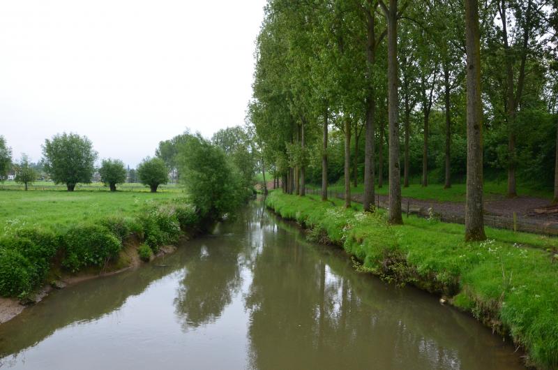 Pour rappel, l’établissement de zones tampons vise à protéger les organismes aquatiques et, de manière plus générale, les eaux de surface, des produits phytopharmaceutiques susceptibles d’être entraînés par les brumes de pulvérisation.