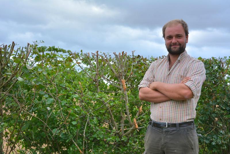 « Le volet  environnemental prend de plus en plus de place dans le monde agricole :  on se rend compte que la présence de haies est un vrai plus », constate Aurian de Bergeyck.