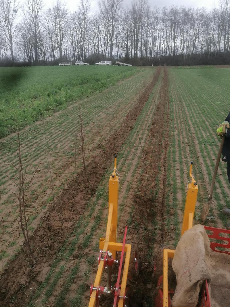 Dans les plaines agricoles, les haies revêtent un usage multiple: refuge pour la petite faune, repère pour les lièvres ou perdreaux, lieu de nidification pour les oiseaux...