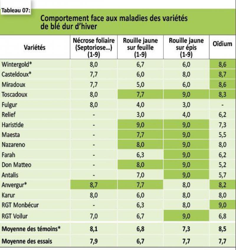 Du blé dur dangereux? Démêler le vrai du faux