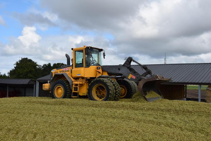 Outre la récolte, les agriculteurs qui le souhaitent peuvent également demander qu’une chargeuse sur pneus tasse leurs silos.