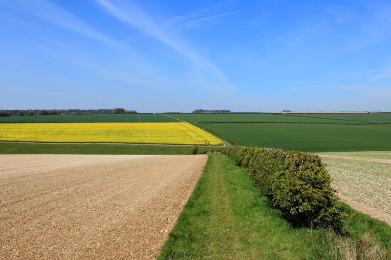 L’enquête menée par le Collège des producteurs démontre que les agriculteurs  portent un intérêt fort à la biodiversité que peuvent héberger les haies.